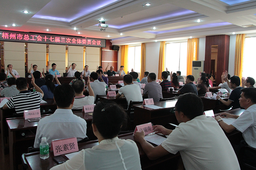 梧州市總召開十七屆三次全體委員會議(圖文)