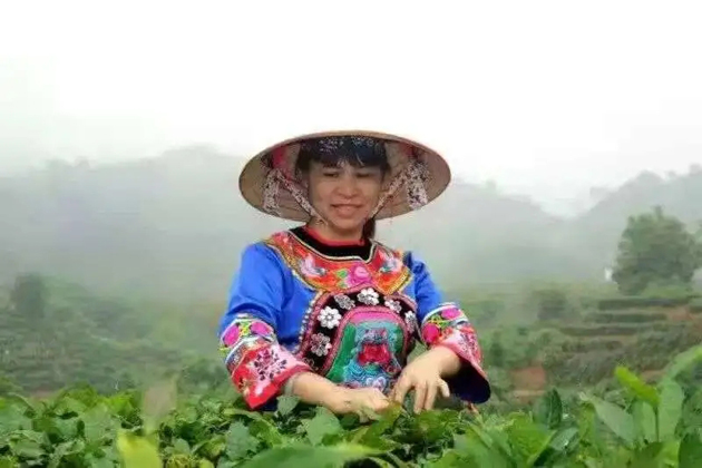 【梧州工匠】劉錦芳：鉆研和創(chuàng)新，帶領(lǐng)鄉(xiāng)親發(fā)家致富