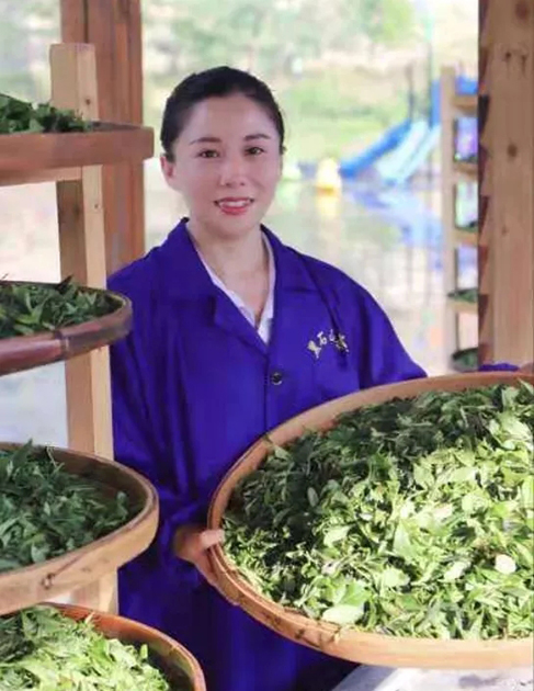 【梧州工匠】石濡菲：擇一茶，修一技，終一生