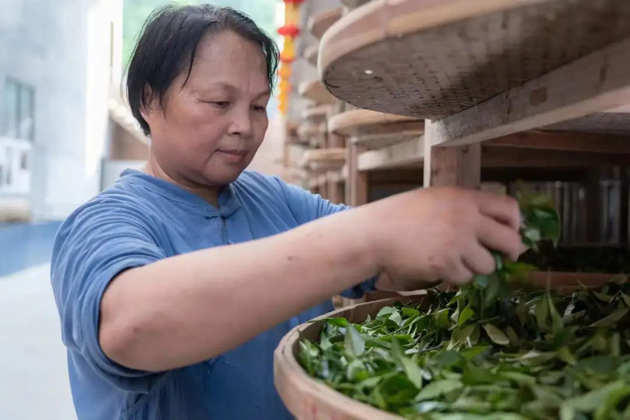 【楷模風(fēng)采】2022年廣西五一勞動(dòng)獎(jiǎng)?wù)芦@得者譚愛(ài)云