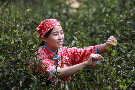 2022年“全國(guó)十佳農(nóng)民”揭曉 全國(guó)勞模石濡菲上榜！