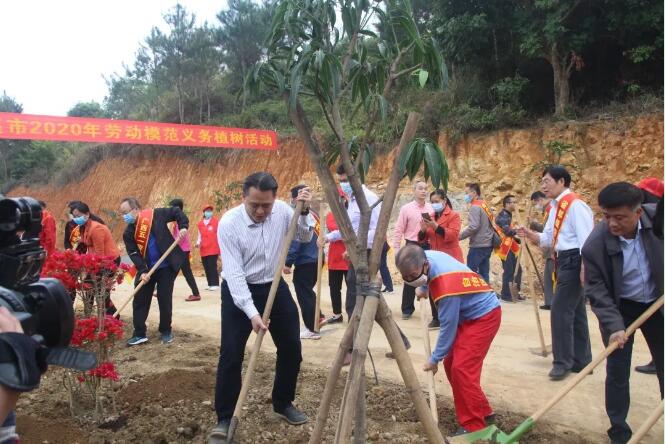 植樹(shù)造林，這群楷模這樣做