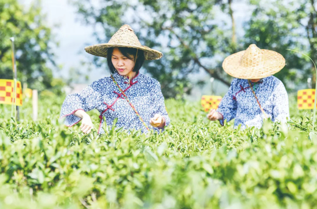國家批復(fù)同意，梧州籌建！