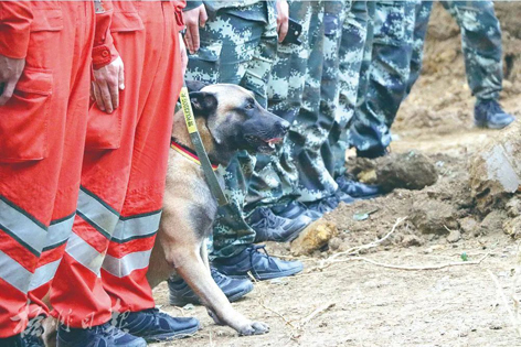 消防、武警、摩托車運(yùn)輸隊(duì)等多方力量聯(lián)合搜救｜東航客機(jī)墜毀事故救援現(xiàn)場直擊