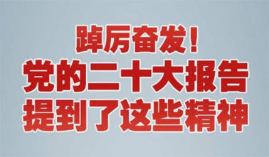 【黨的二十大】踔厲奮發(fā)！黨的二十大報告提到了這些精神