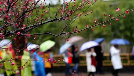 今日雨水！別忘了咱的老講究！