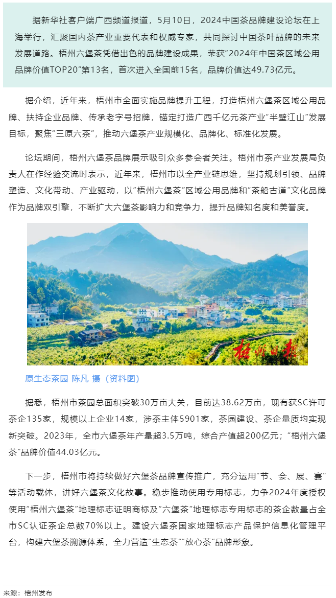 排名全國第13名！“梧州六堡茶”品牌價值實現(xiàn)新突破.png