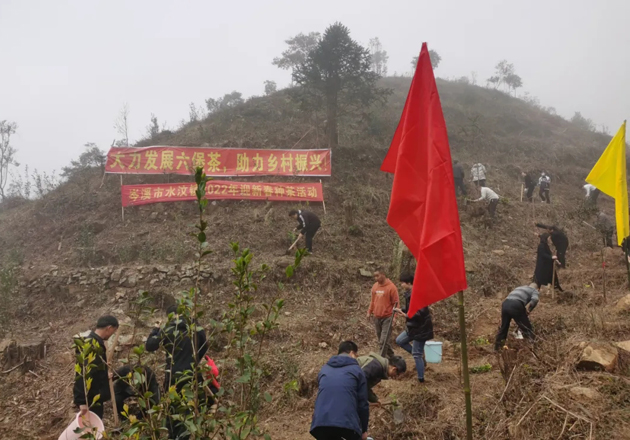 岑溪市總工會(huì)開(kāi)展迎新春種茶活動(dòng)