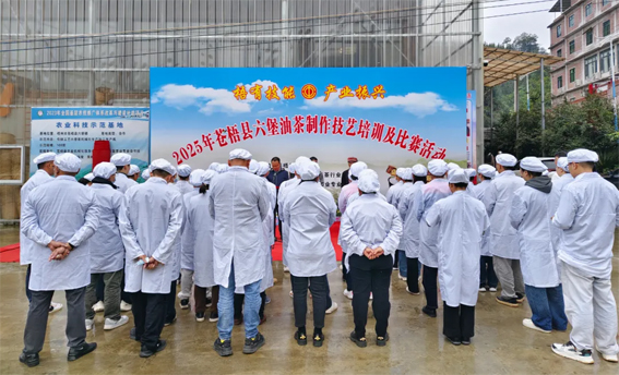 2025年蒼梧縣六堡油茶制作技藝培訓(xùn)及比賽活動(dòng)圓滿落幕！